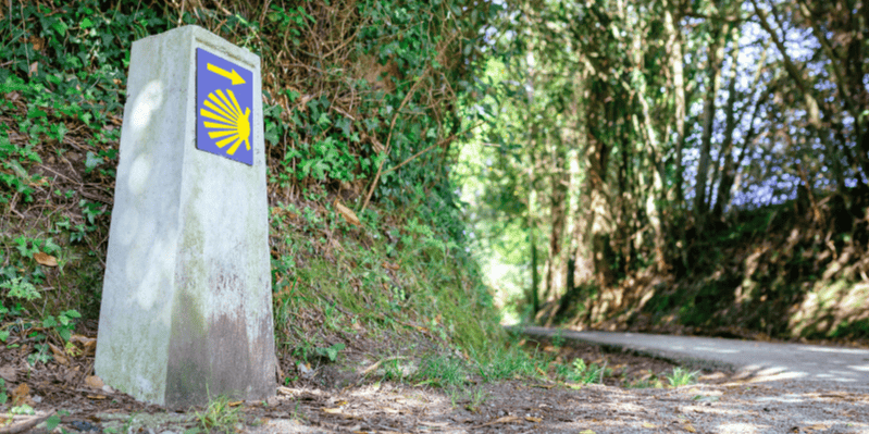 Día 5 - ARZÚA – O PEDROUZO / AMENAL