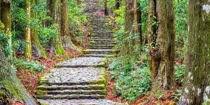 TOBA / KUMANO / KII KATSURA