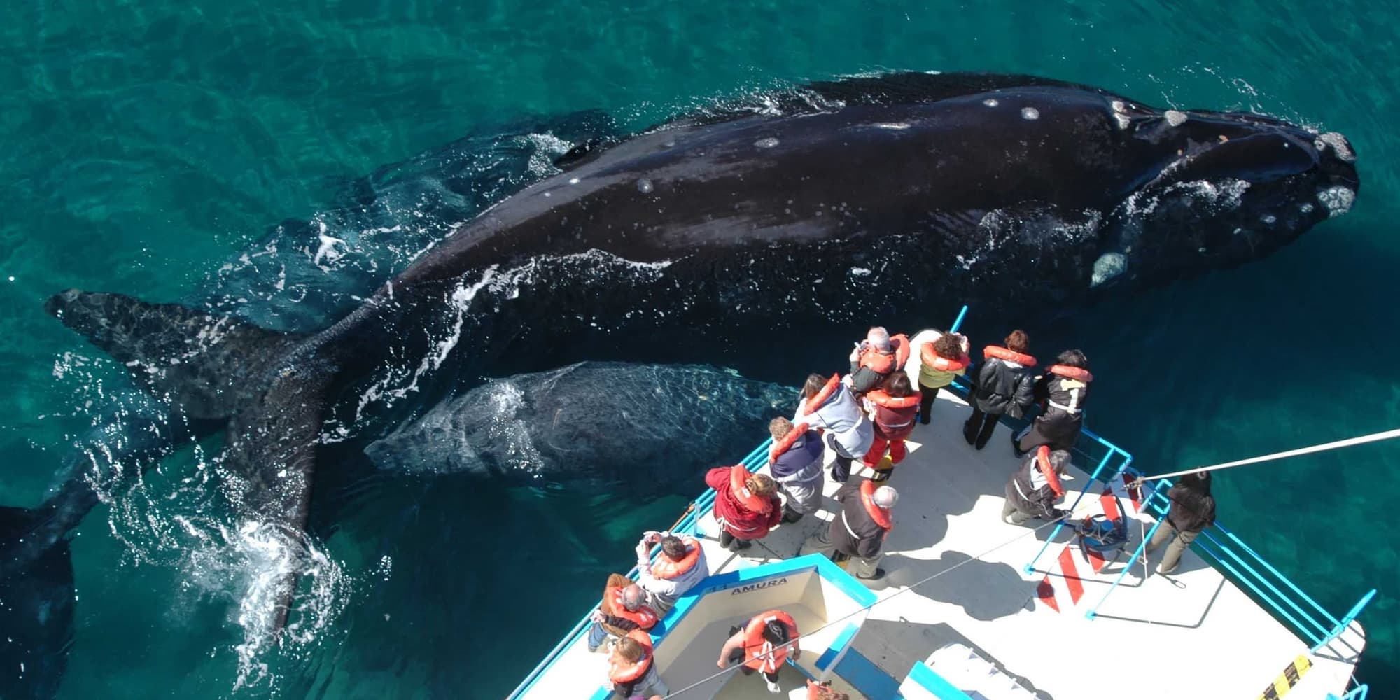 Giorno 3 - Verso la Patagonia Atlantica