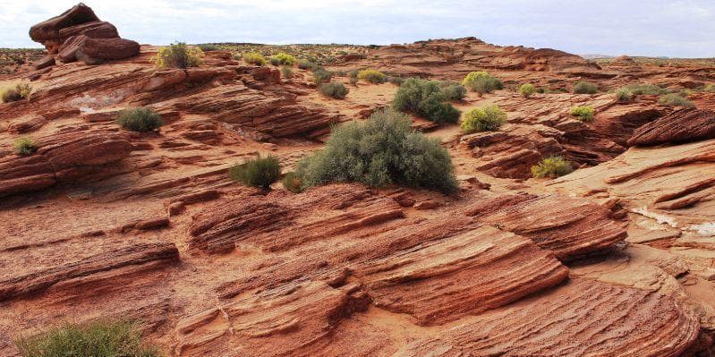 VISALIA-dintorni / MOJAVE DESERT