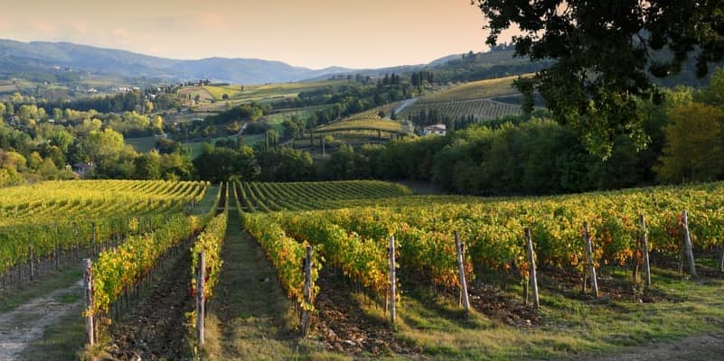 GIORNO 3: CHIANTI - SIENA 