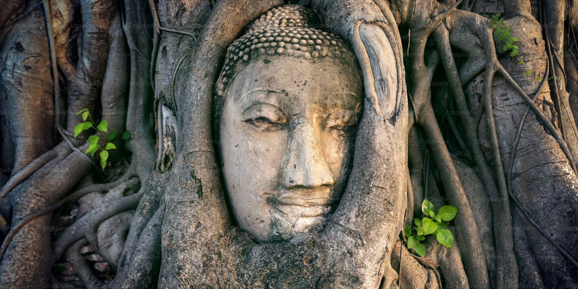 DAY 5 • BANGKOK - AYUTTHAYA - LOPBURI - PHITSANULOK