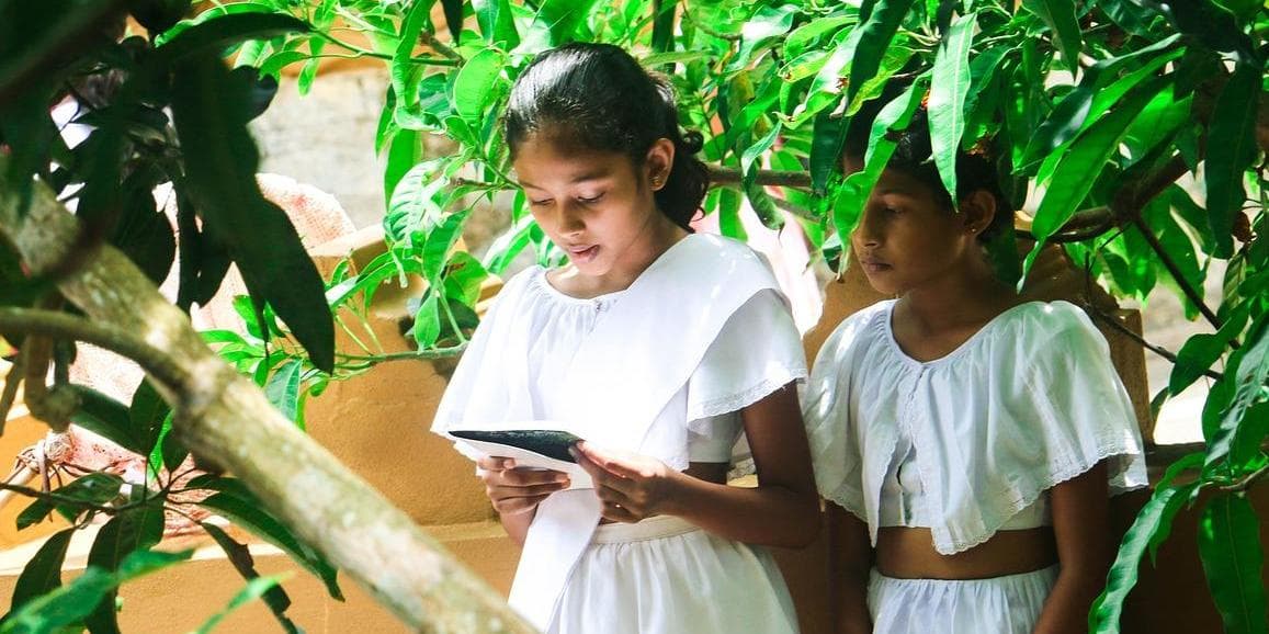 Giorno 01: AEROPORTO / DAMBULLA / SIGIRIYA o DAMBULLA o HABARANA (circa 05 ore in auto)