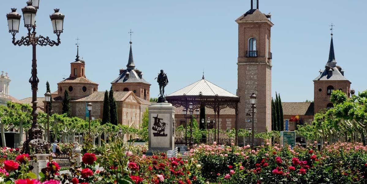 Día 6 - Madrid - Alcalá de Henares