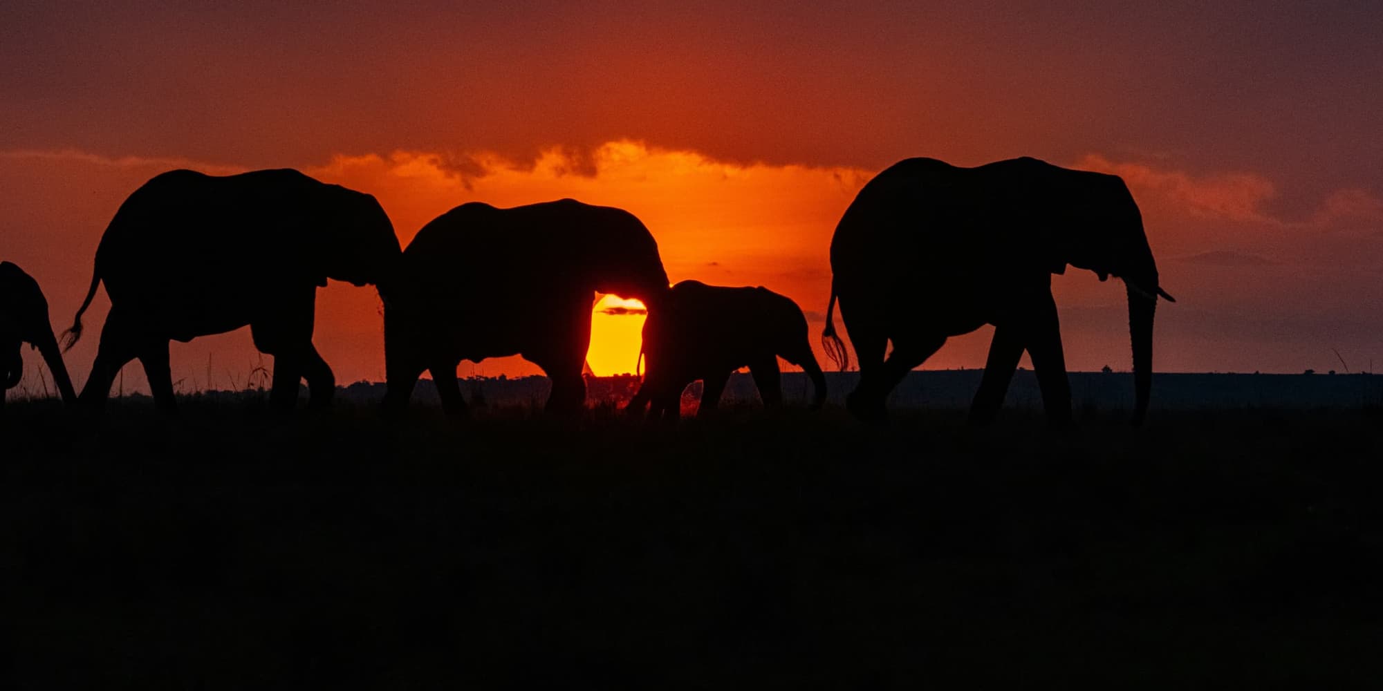 2° giorno:  NAIROBI - MT.KENYA