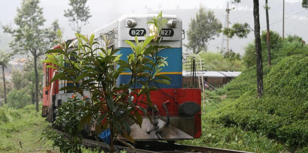 5º Giorno – Escursione a Nuwara Eliya