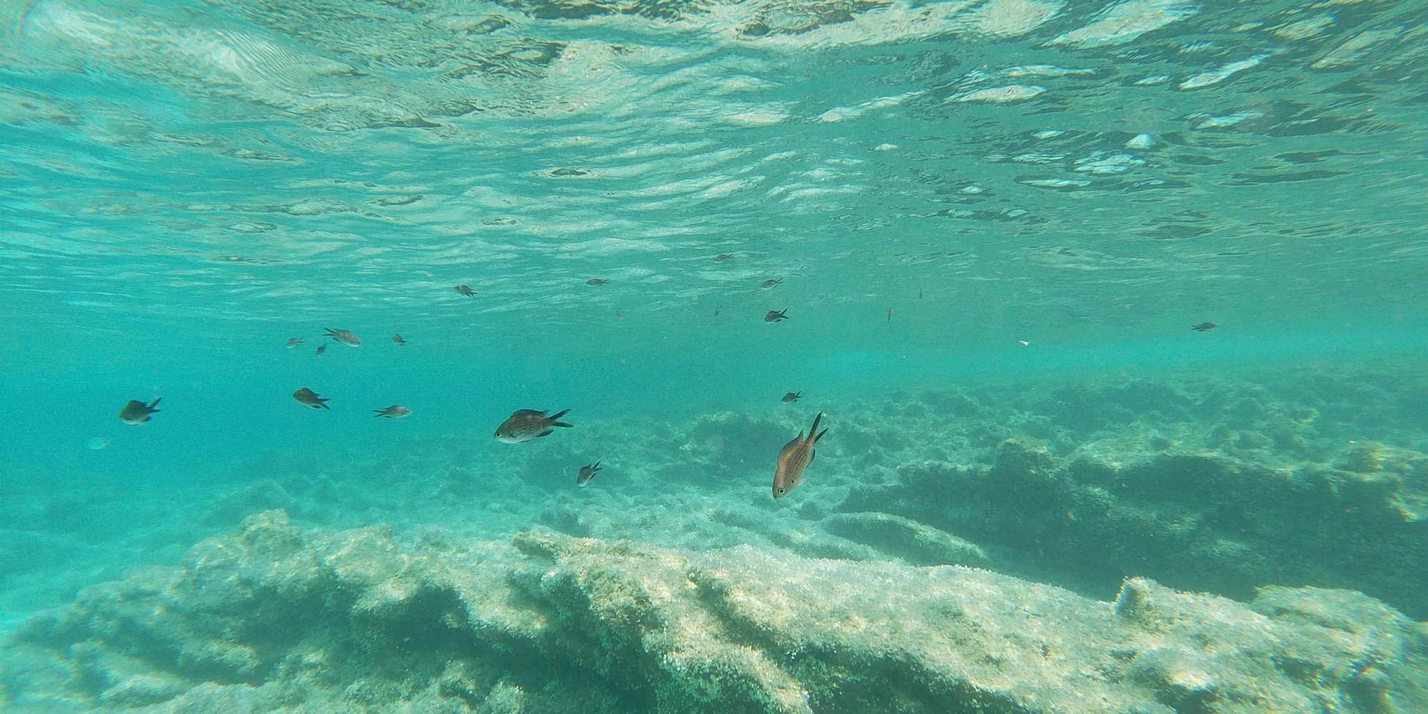 DÍA 2: PLAYAS SECRETAS Y BIENESTAR EN FORMENTERA