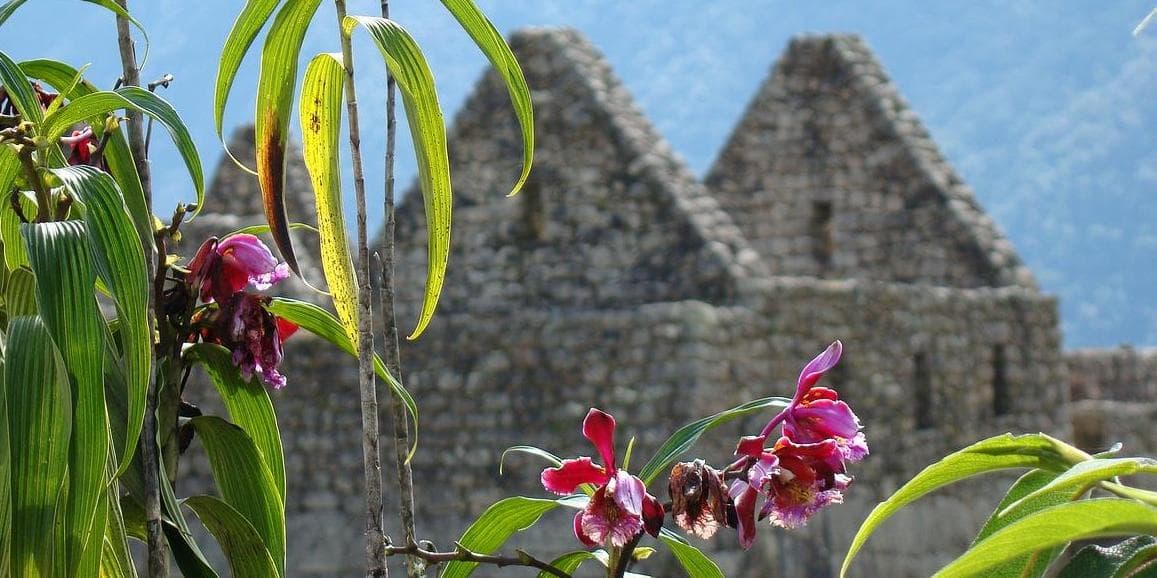 4° giorno:   MACHU PICCHU / CUSCO