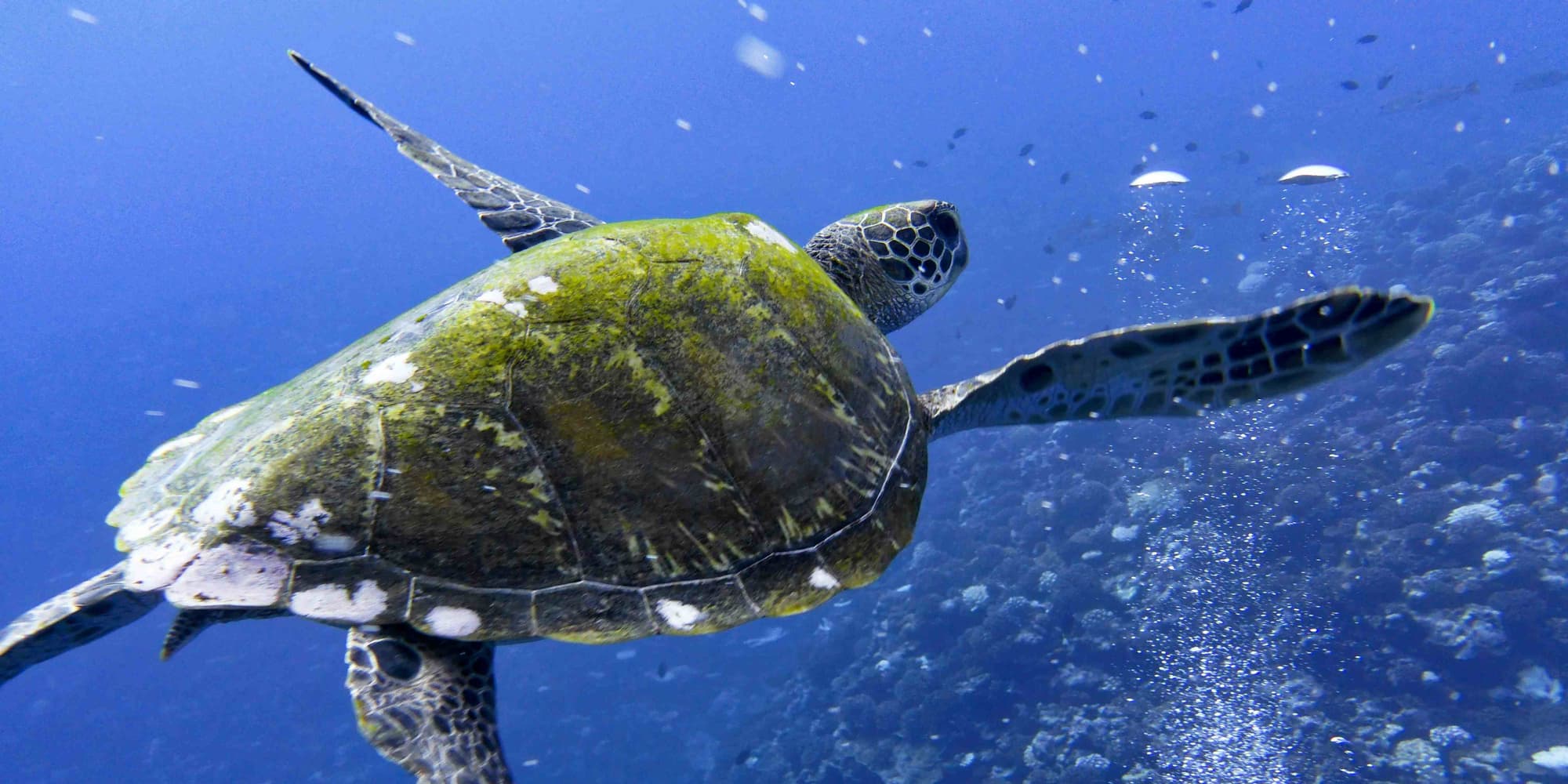 DIA 6: DESPEDIDA E REGRESSO