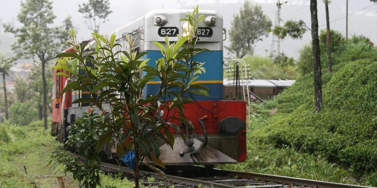 Giorno 09: Viaggio panoramico verso Nuwara Eliya (circa 03 ore in auto)