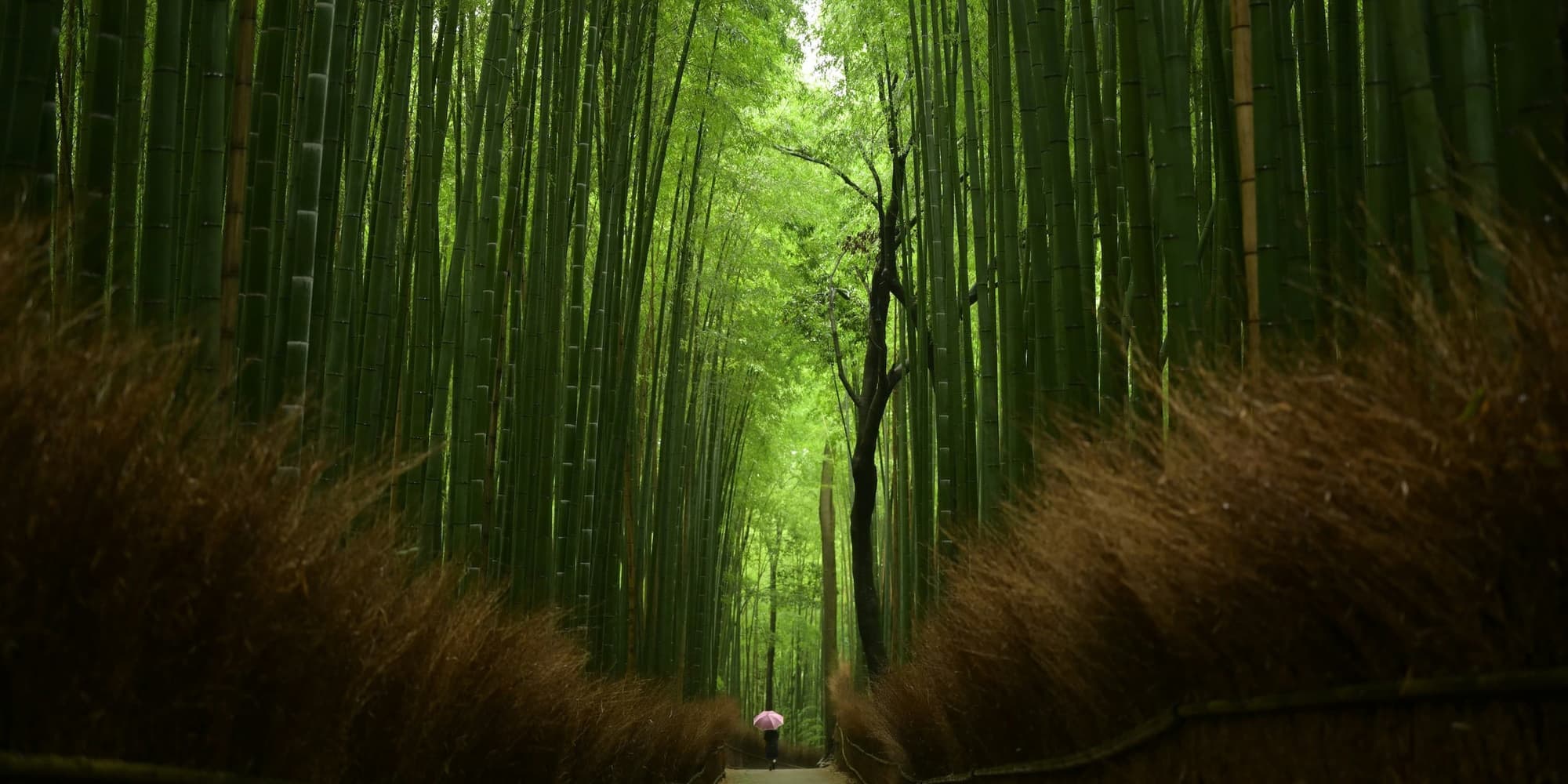 DÍA 05 (SÁBADO) KIOTO