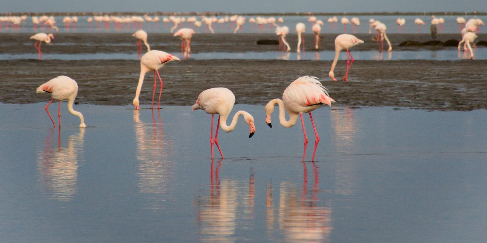 Giorno 3 - DESERTO DEL NAMIB - SWAKOPMUND