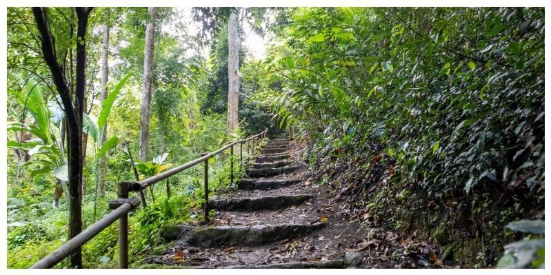 Jour 6 : Ile de la Grande Canarie