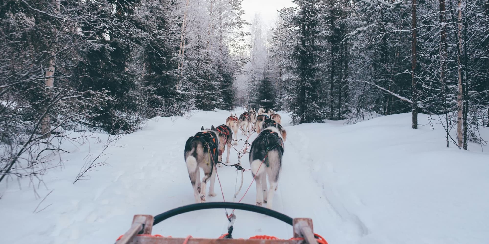 GIORNO 5: ROVANIEMI – ITALIA