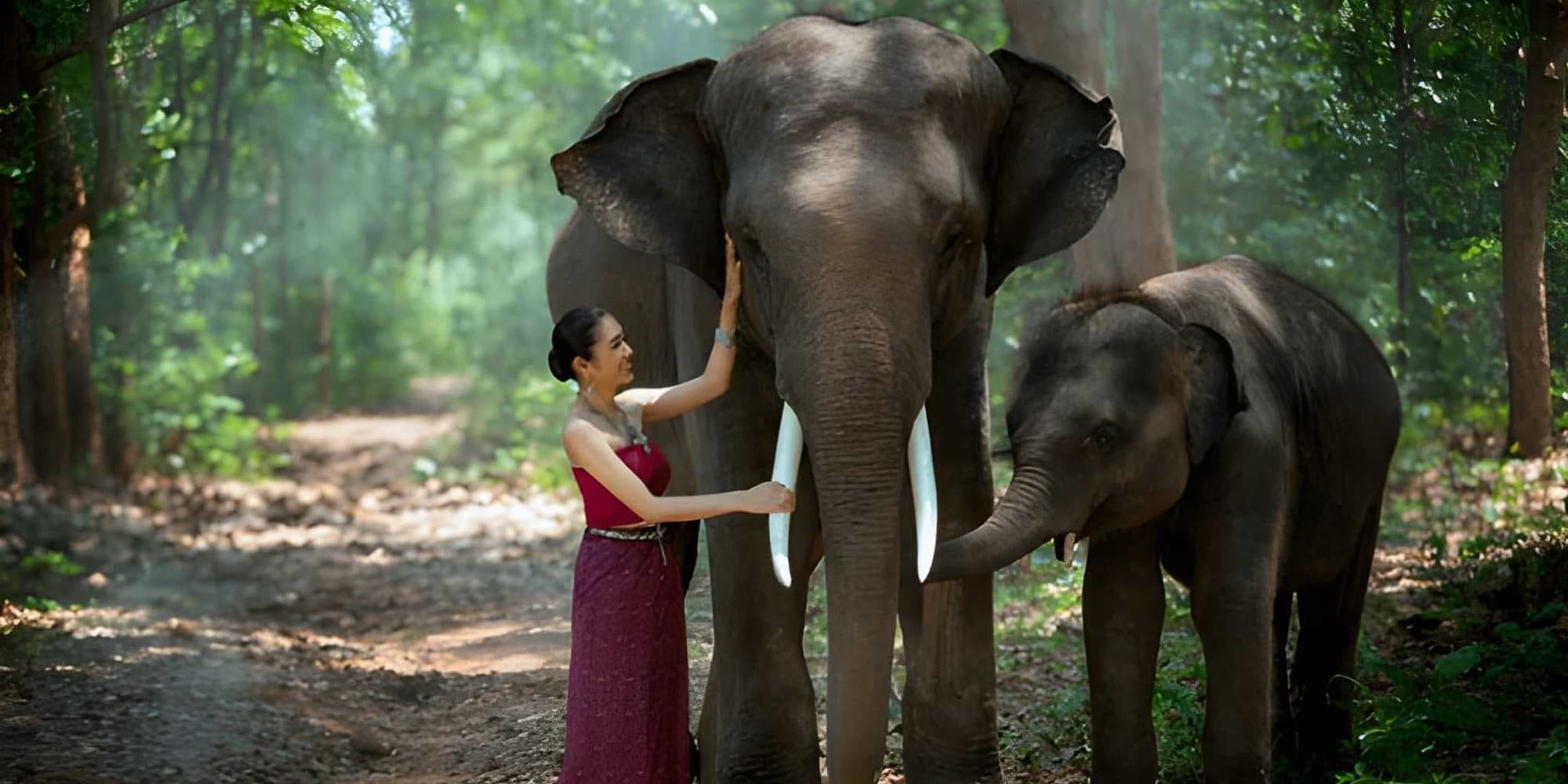 Día 5 | Chiang Mai, donde los elefantes guardan la sabiduría del bosque