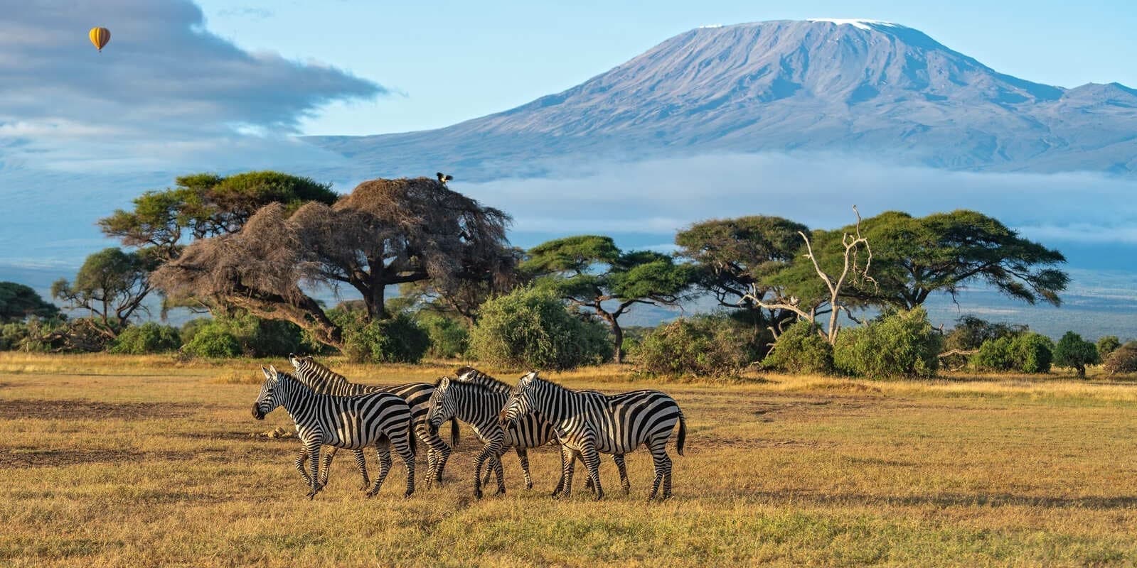 2 Nights – Sarova Mara Game Camp (Masai Mara)