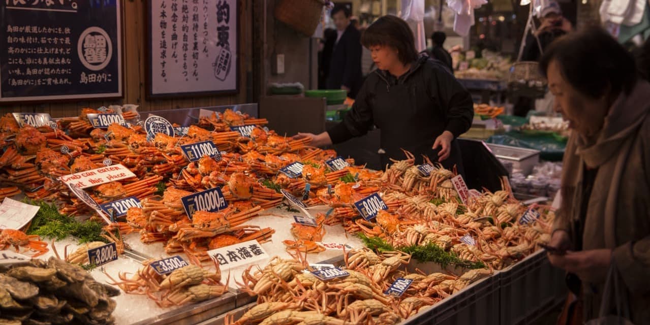 DÍA 7 • KIOTO – KANAZAWA