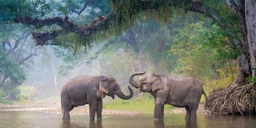 DÍA 10 • CHIANG MAI