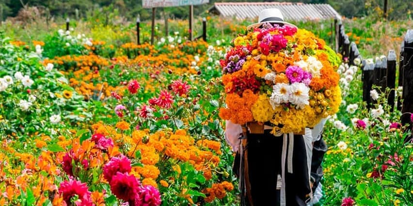 DÍA 2 • MEDELLÍN