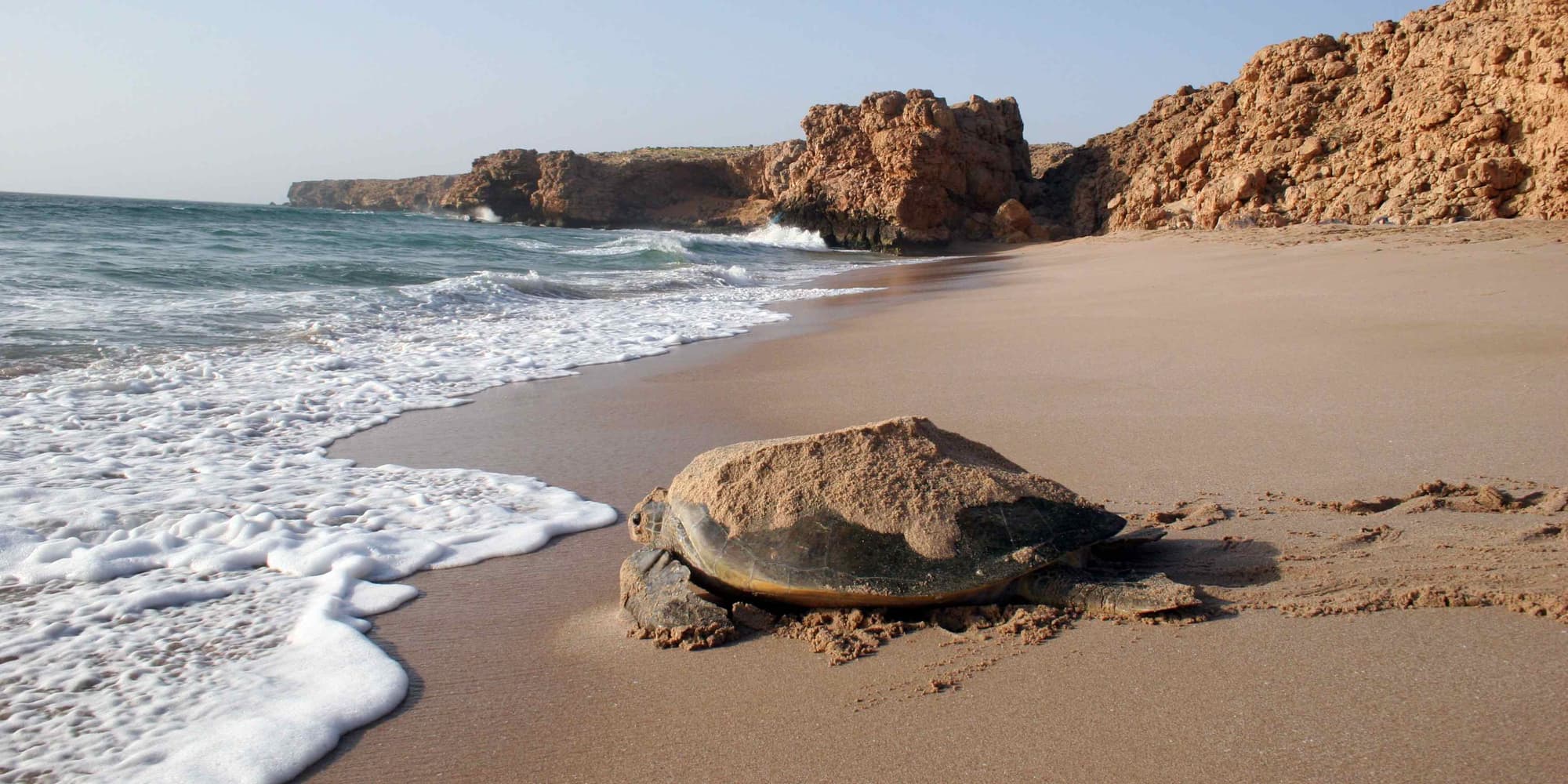 FRIDAY | WAHIBA - WADI BANI KHALID - RAS AL JINZ