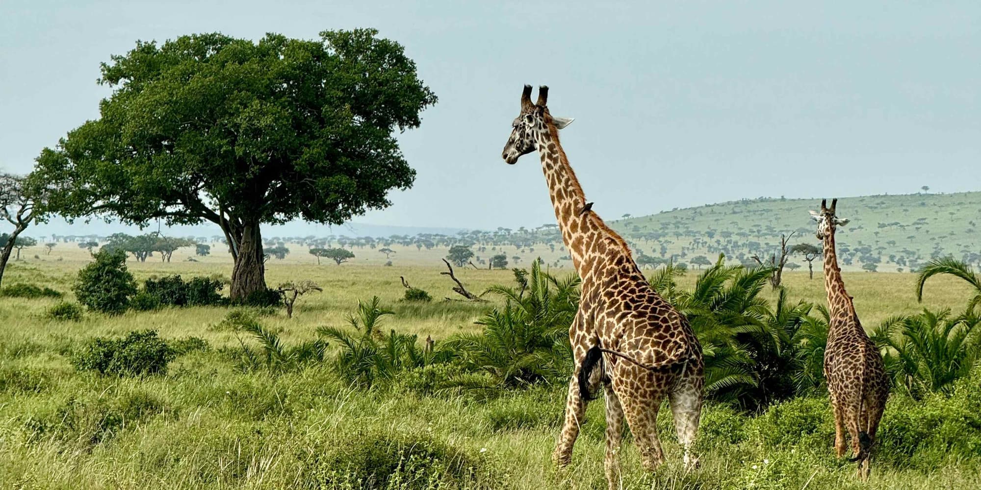 DAY 5: LAST MOMENTS AND RETURN