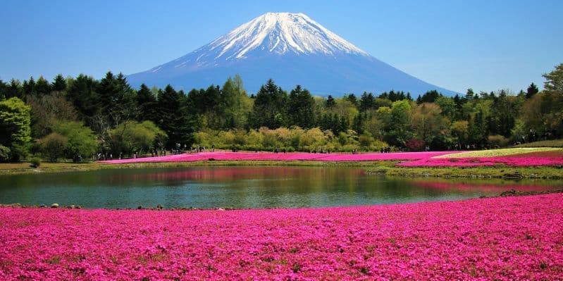 KAWAGUCHI-KO / SHIZUOKA / HAMAMATSU