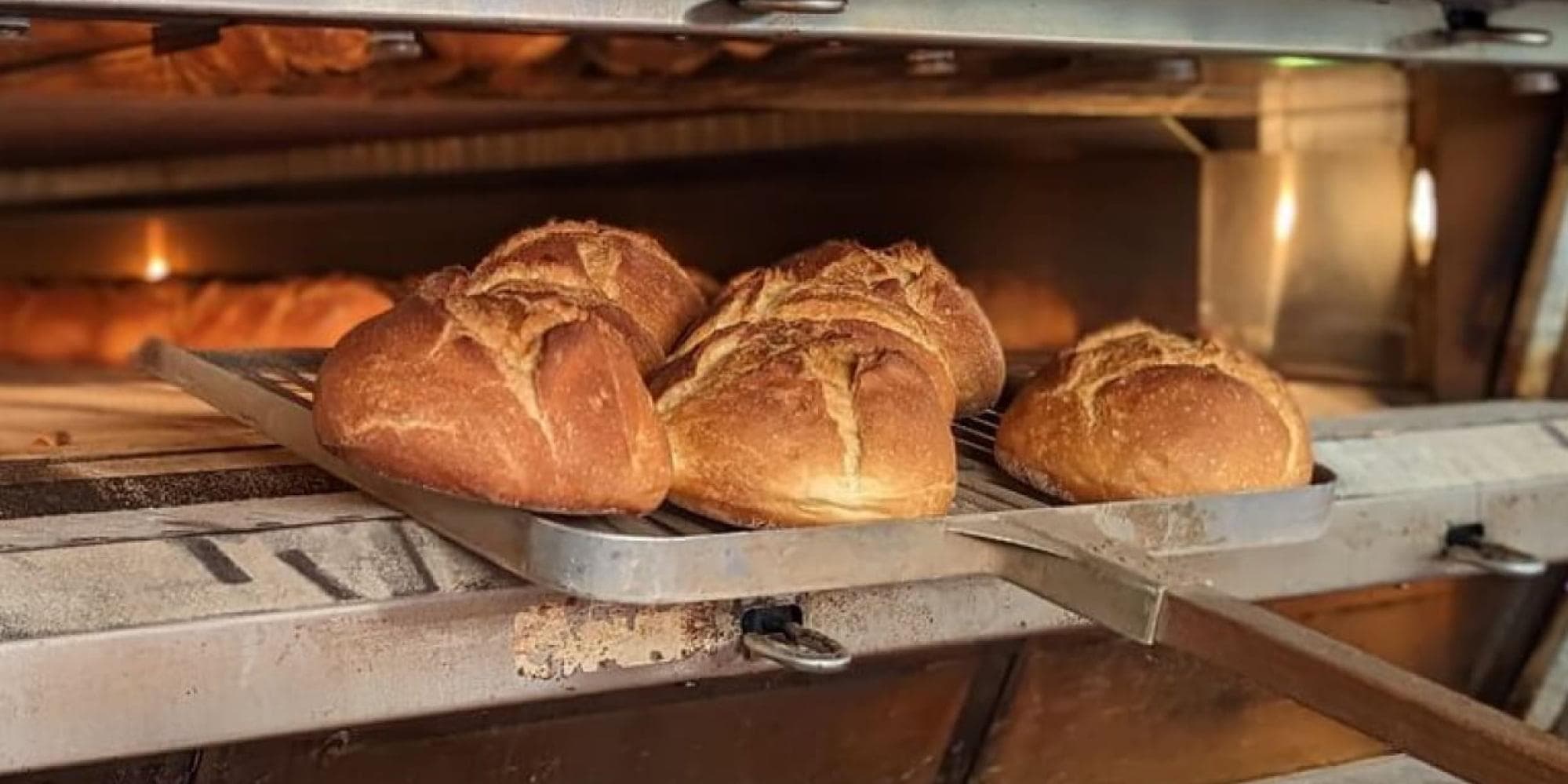 Tag 4: Altamura, ein Brot- und Focaccia-Kurs im Tempel der Tradition  