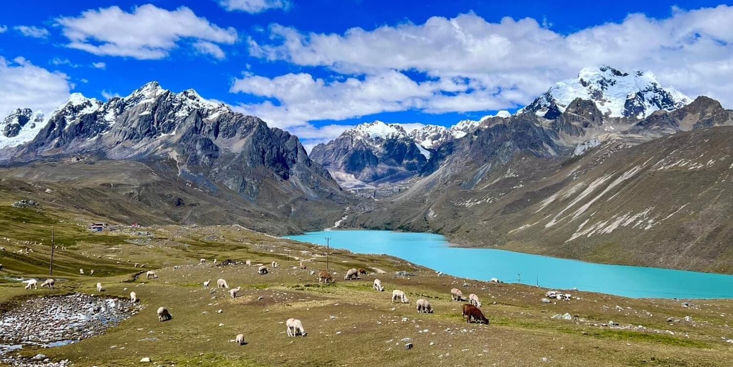 DÍA 6 • LAGUNA SINGRENACOCHA