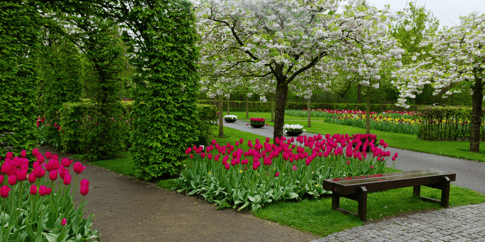 14 abril. RÓTERDAM – ÁMSTERDAM 