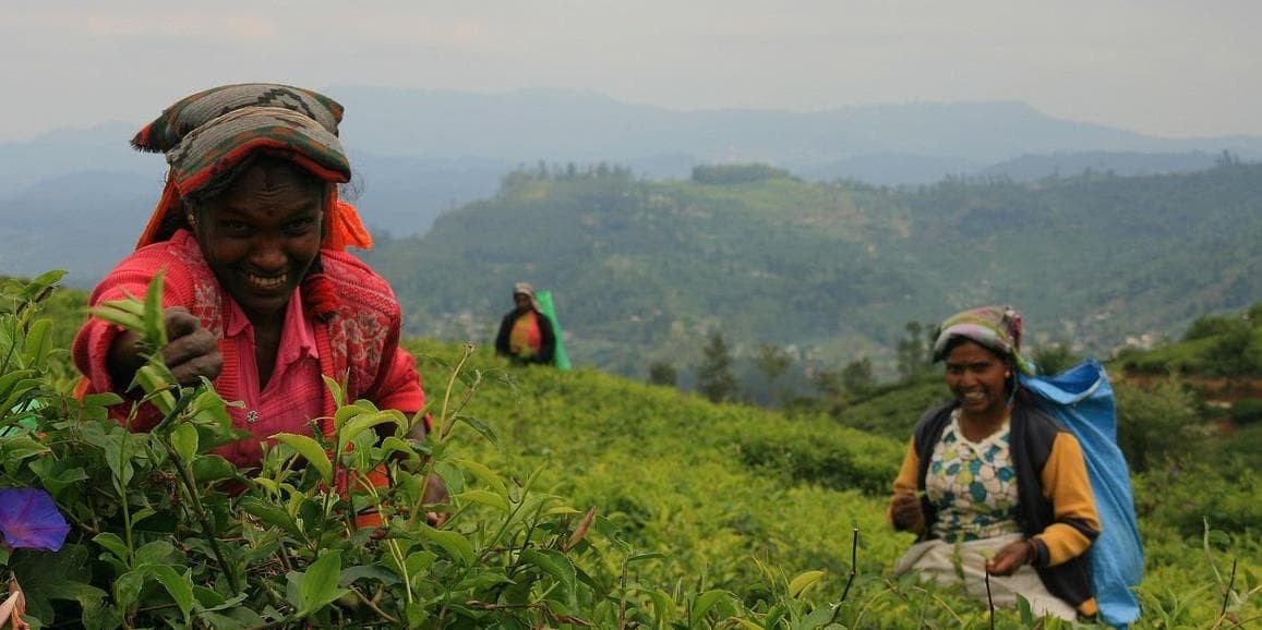 Giorno 05: Avventura a Ella – Zip line e ATV