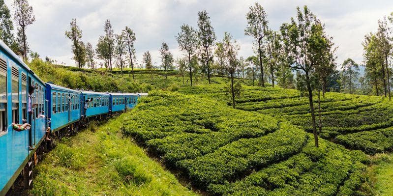 KANDY / NUWARA ELIYA