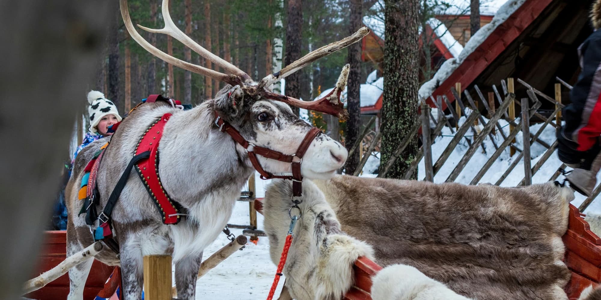 GIORNO 2: VILLAGGIO DI BABBO NATALE E GIRO IN SLITTA CON LE RENNE