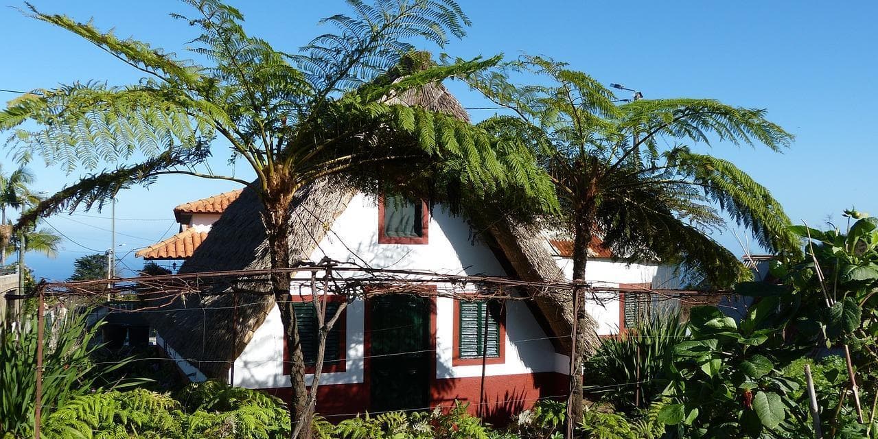 Jour 5 :  Randonnée dans une Levada (Niveau : très facile)