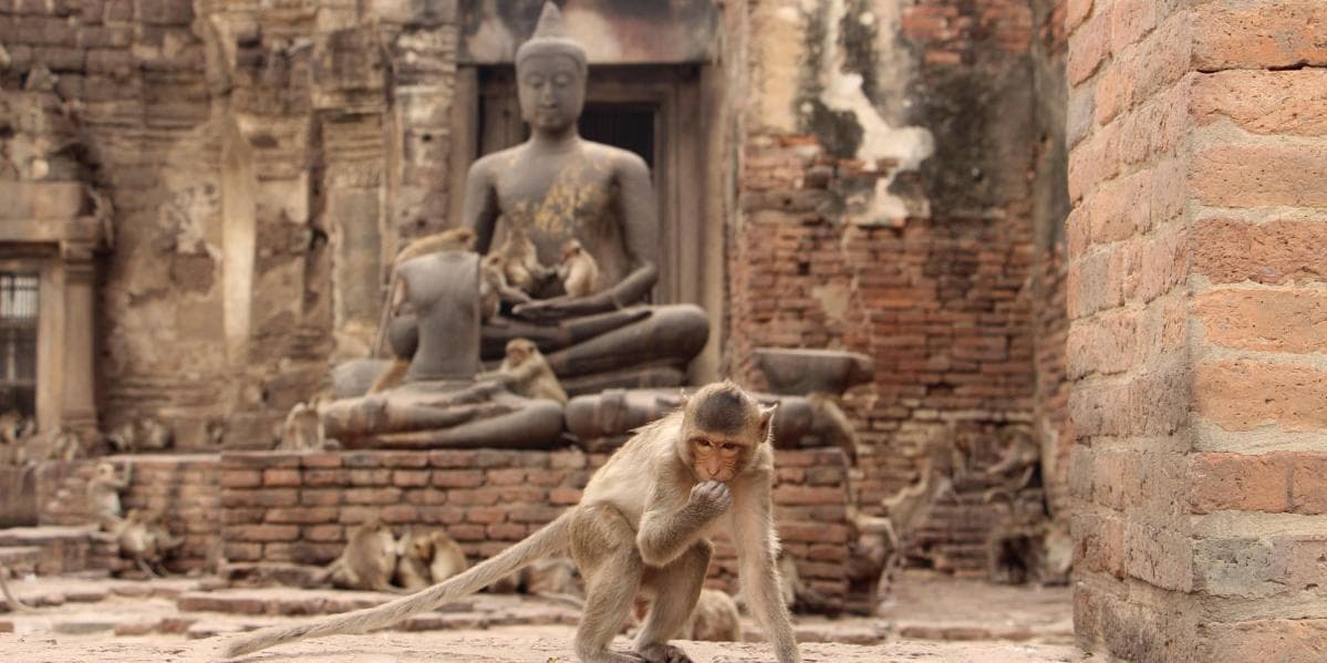 DÍA 3 • BANGKOK – AYUTTHAYA – LOPBURI – PHITSANULOK