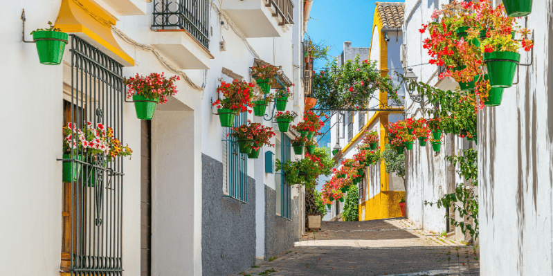 BENALMÁDENA – ESTEPONA – MÁLAGA – PALMA