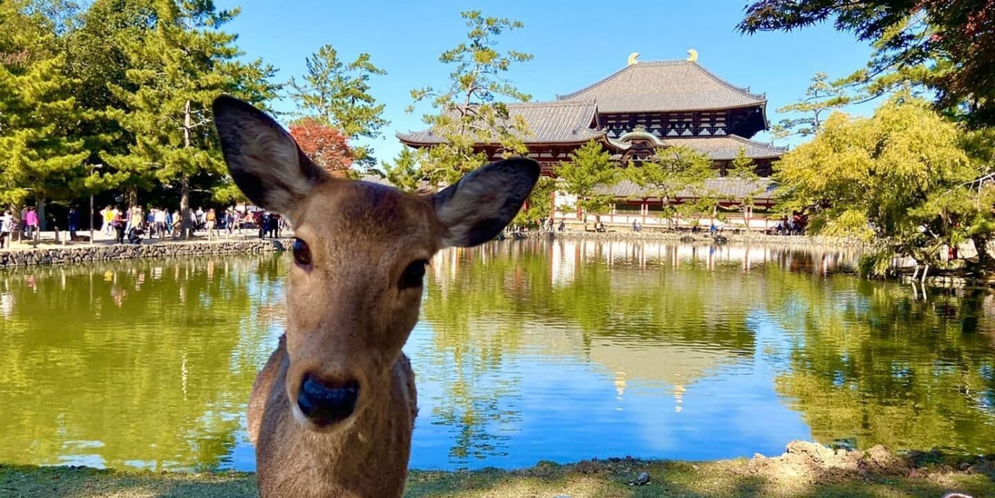 DÍA 04 (VIERNES O LUNES) TOKIO – KIOTO – NARA – KIOTO