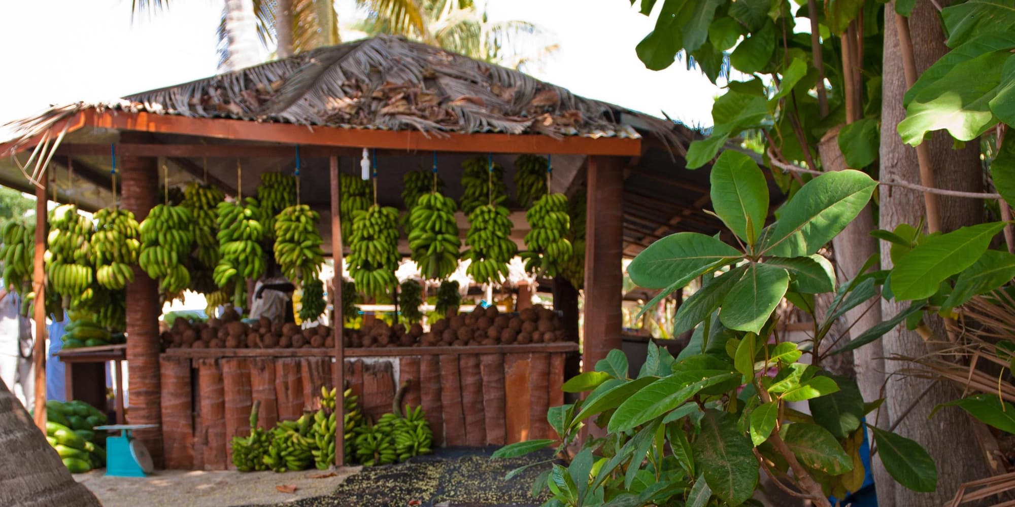 Day-4: Full day Salalah City Tour