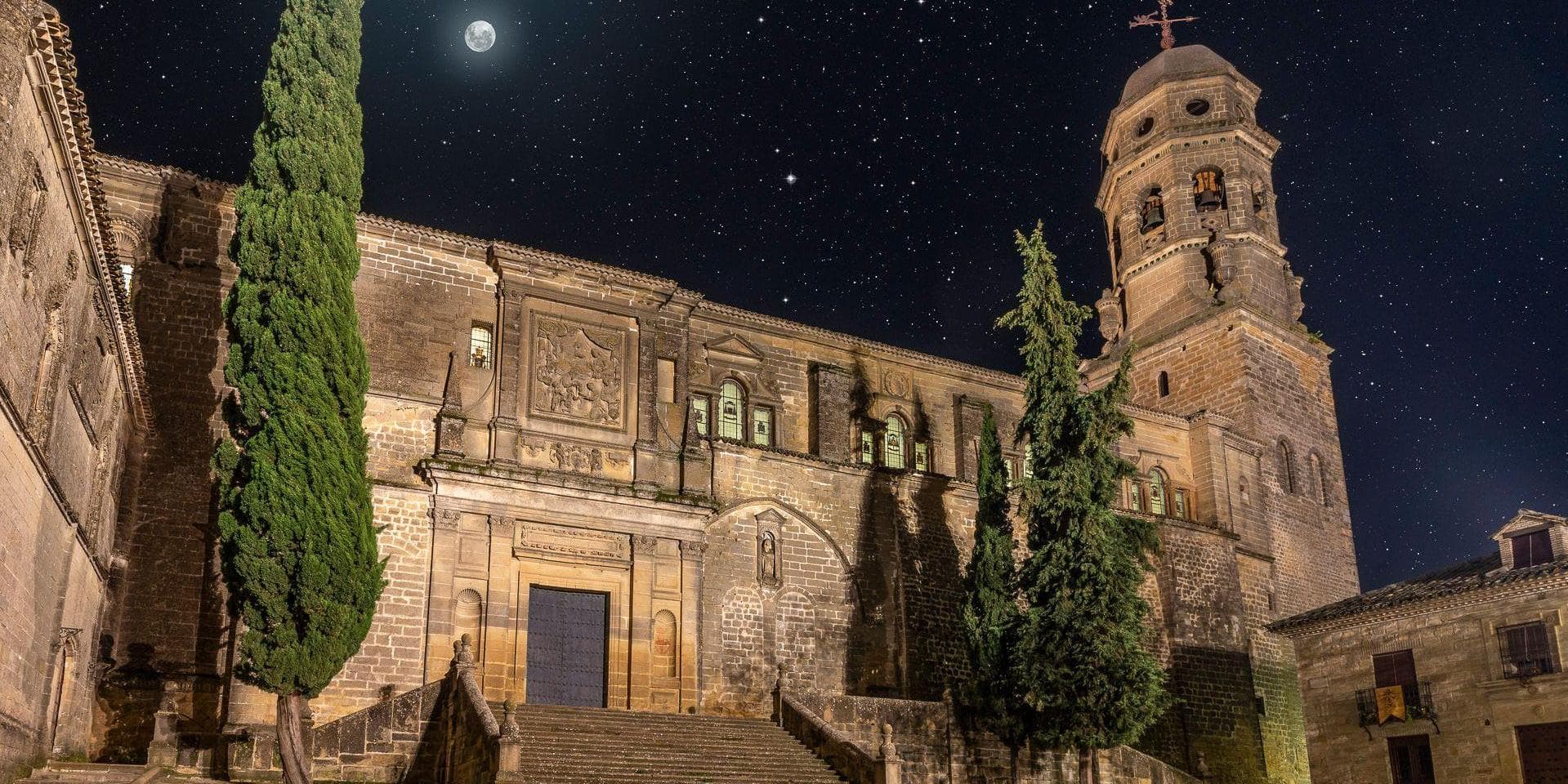 Día 2: experiencia de oleoturismo y exploración de Baeza