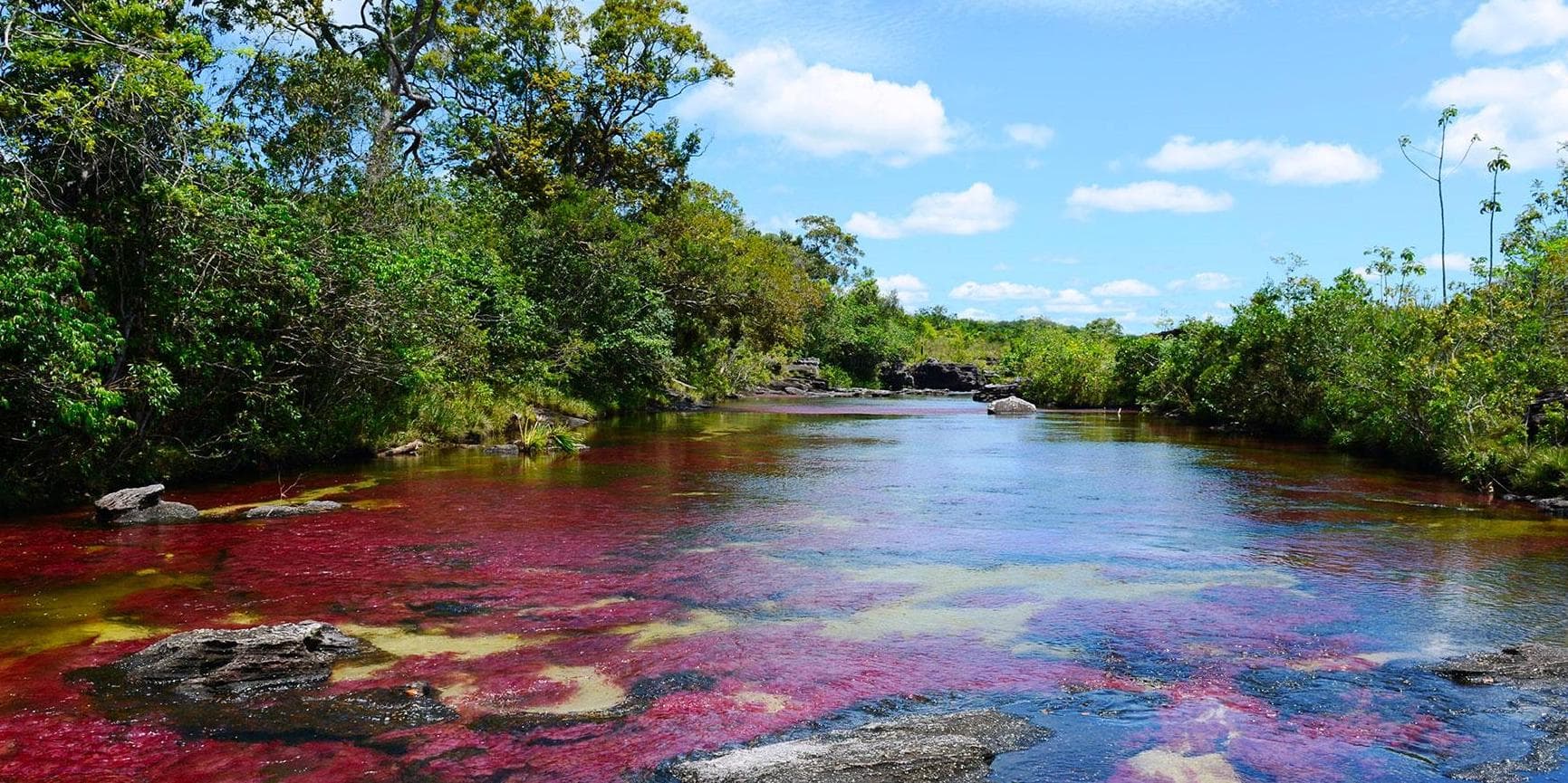 Día 2. Vuelo a la Macarena - Tour por sendero en Caño Cristales / Compartido