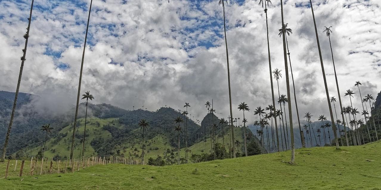 4° Giorno - Pereira