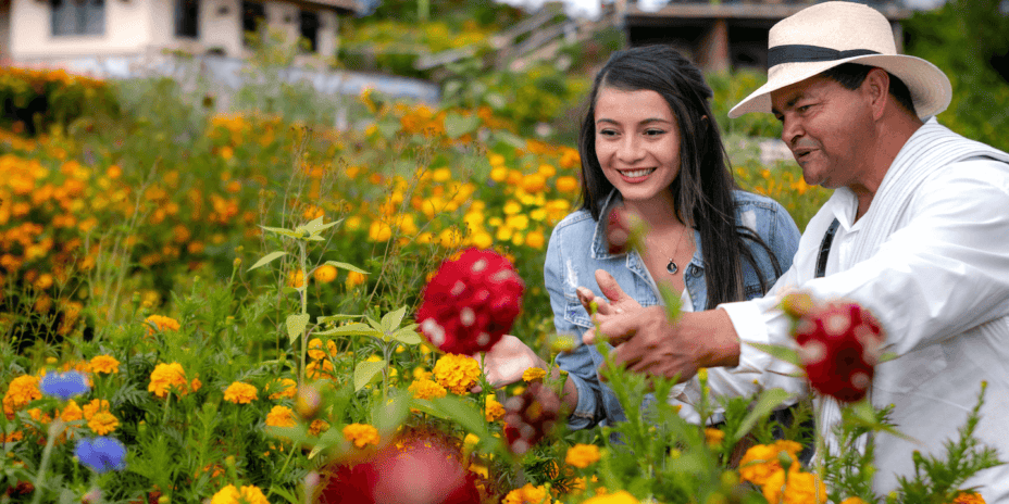 Dia 2. Medellín – Excursão às flores e aos silleteros em Santa Elena