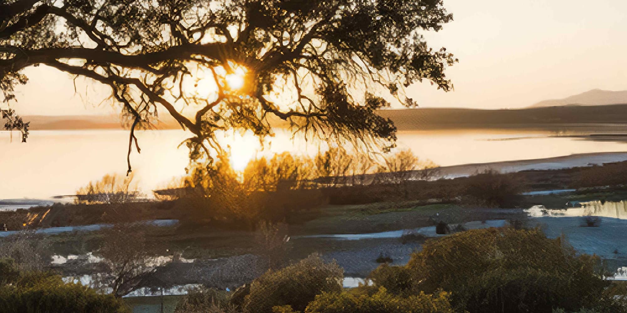 DAY 8: FUENTE DE PIEDRA