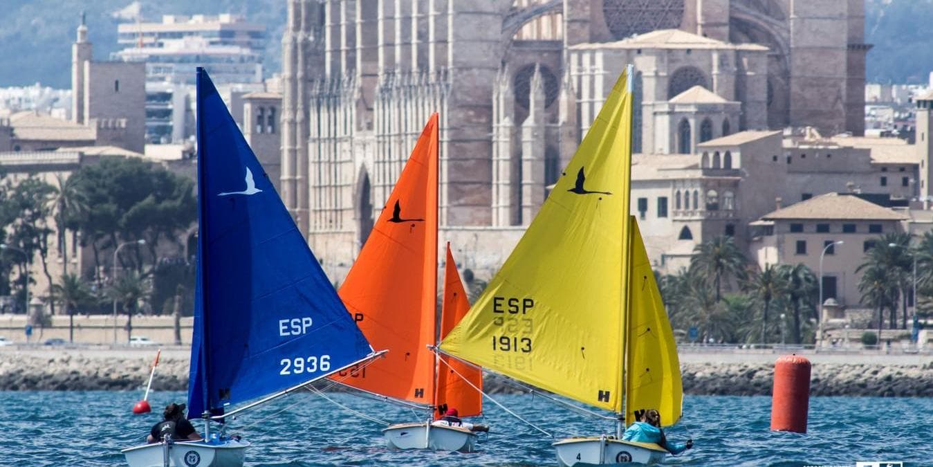 Mallorca desde Terra e Mar