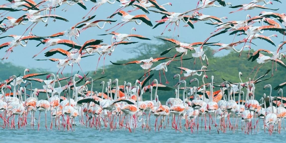 DAY 2 – Lake Manyara National Park