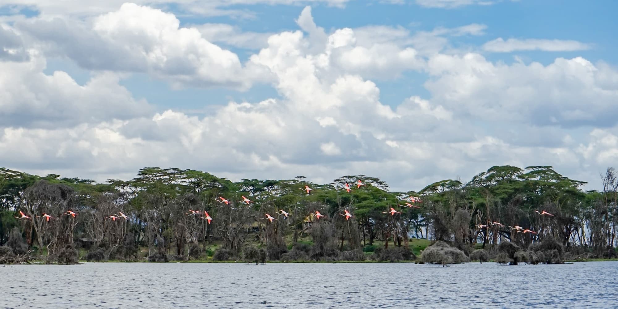 Lake Naivasha - 2 Nights
