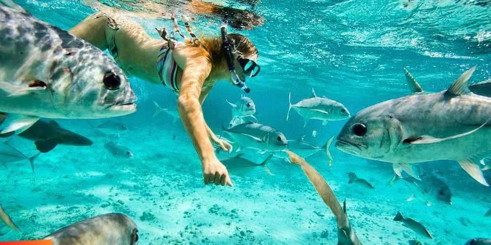 DÍA 6 • SAN PEDRO