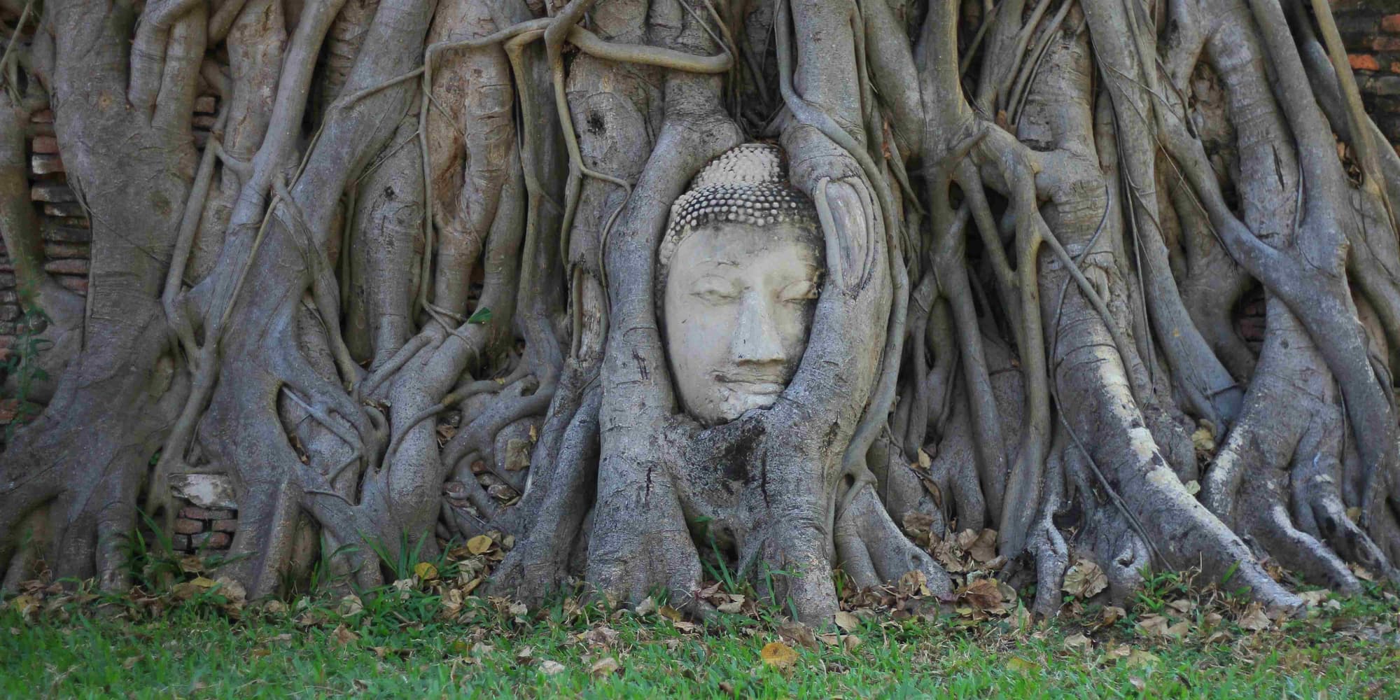 Day 4: Bangkok (optional excursion to Ayutthaya)