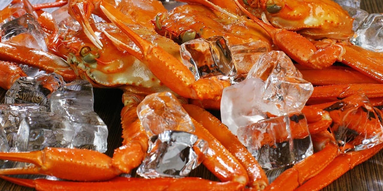 Giorno 8: HONNINGSVÅG -ALTA