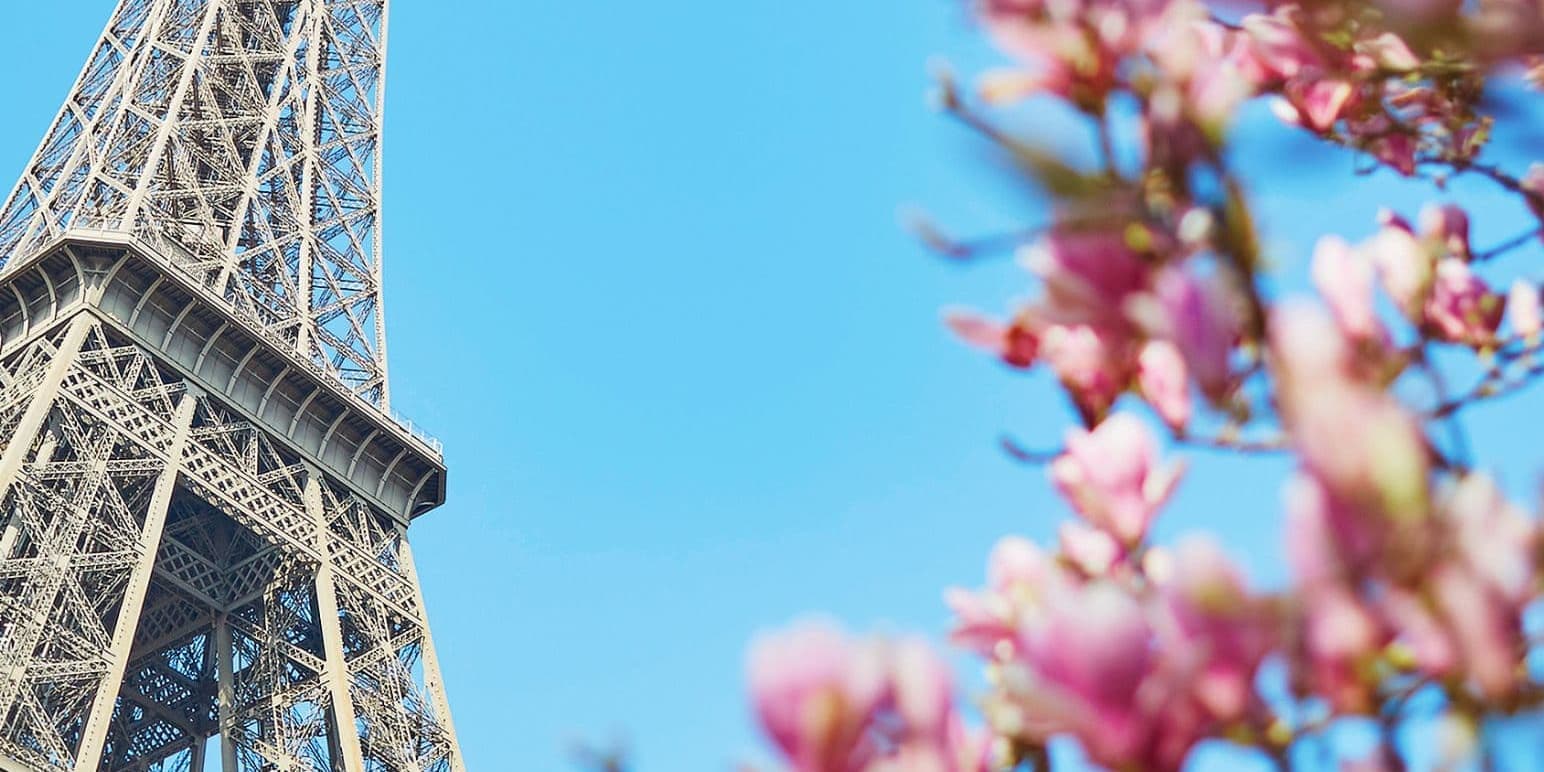 DIA 8 | París de Altura: Torre Eiffel y Crucero por el Sena