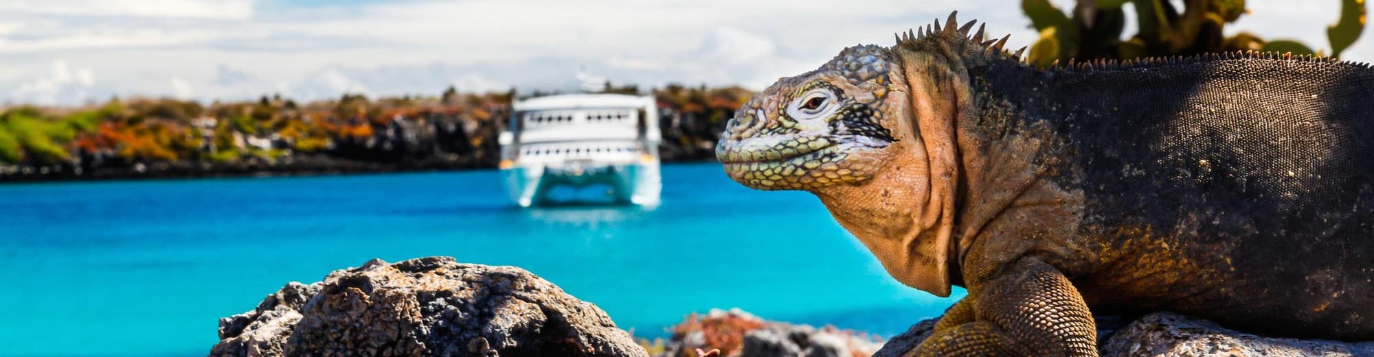 south plaza (santa cruz)